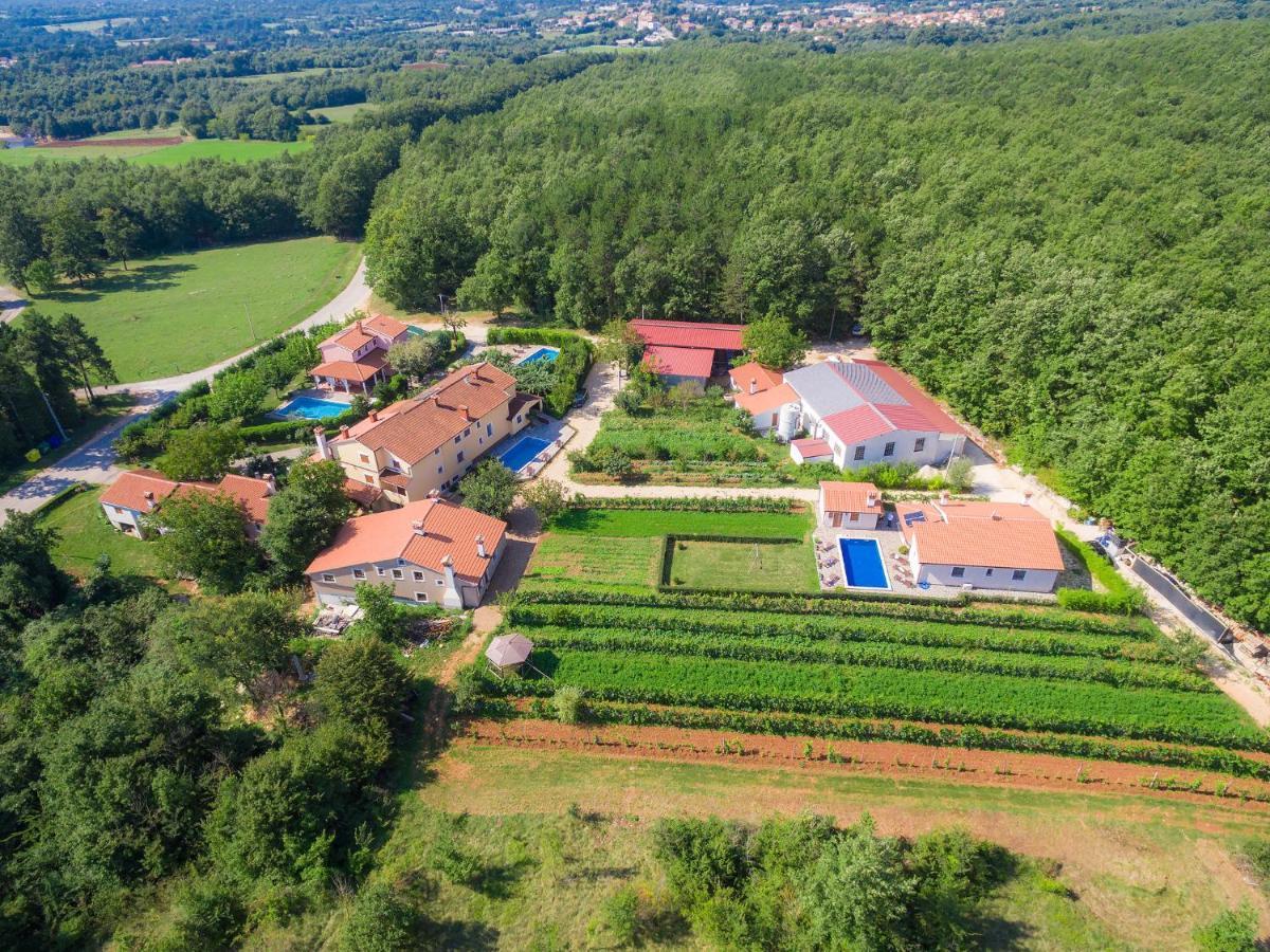 Holiday Home Edi - Roj433 By Interhome Žminj Εξωτερικό φωτογραφία
